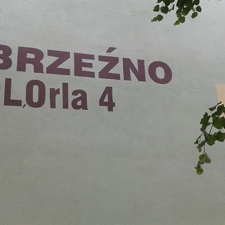 Brzezno Nad Zatoka Apartment *